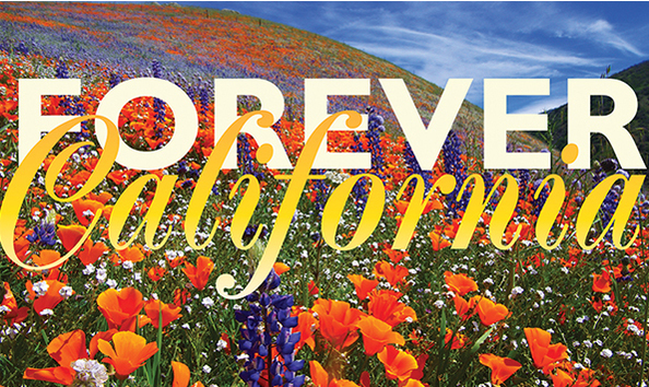 Forever California – A New City to be Developed in Sonoma County