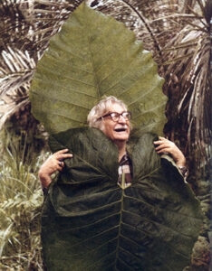 A Leafy Vision of the Tropics at New York Botanical Garden