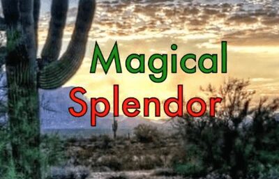 Scenic desert landscape with a cactus and dramatic sunset sky titled 'Magical Splendor'.